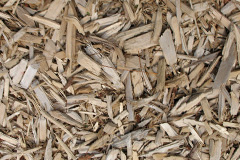 biomass boilers Derwen